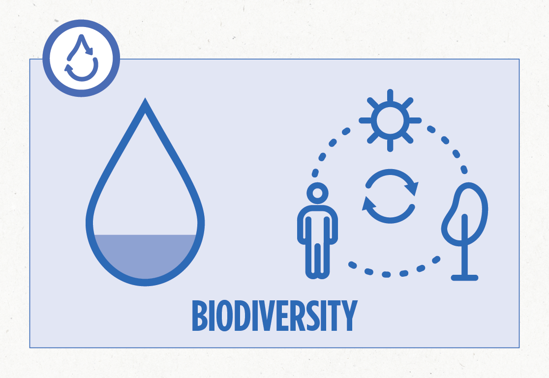 Water use and Stewardship