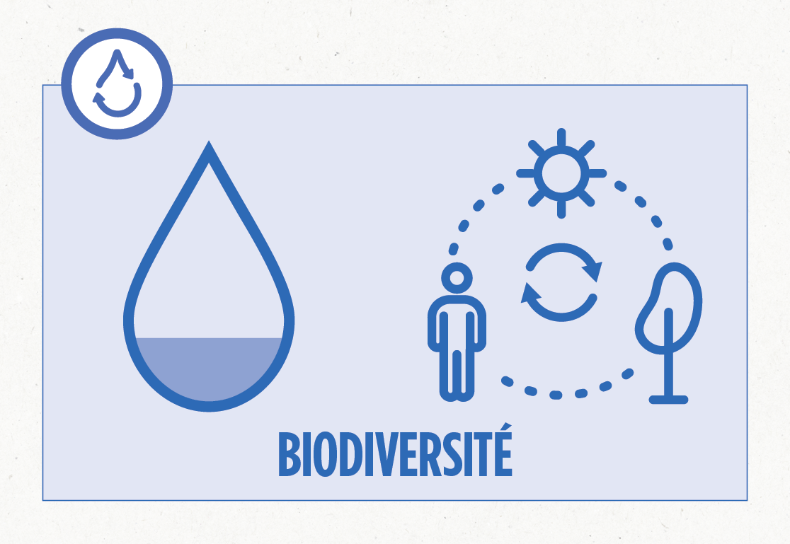 Gestion de l’eau